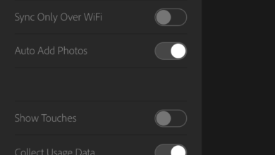 صورة Adobe Lightroom لأجهزة iPhone و iPad - تحرير الصور proالمهنية مع الهاتف المحمول