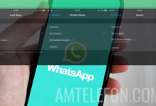 Foto af WhatsApp introducerer Mine kontakter Undtagen på iOS til Profil Foto, Sidst set, Om